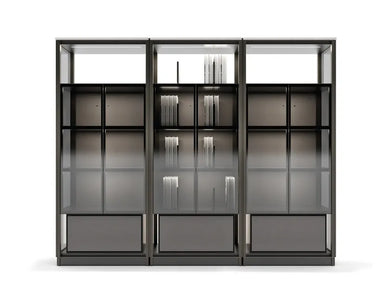 Domus Sectional bookcase with built-in lights